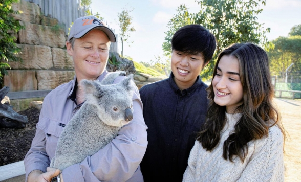 満喫ブルーマウンテンズ＆シドニー動物園またはフェザーデール動物園一日観光 by DOA
